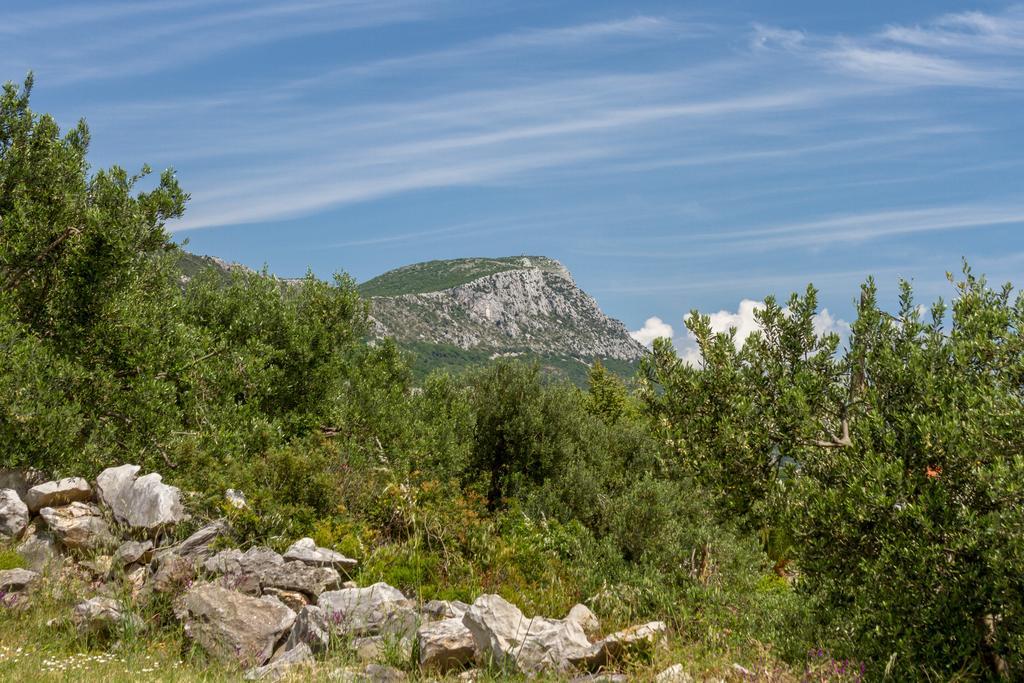 Panorama Holidays Kaštel Stari Exteriör bild